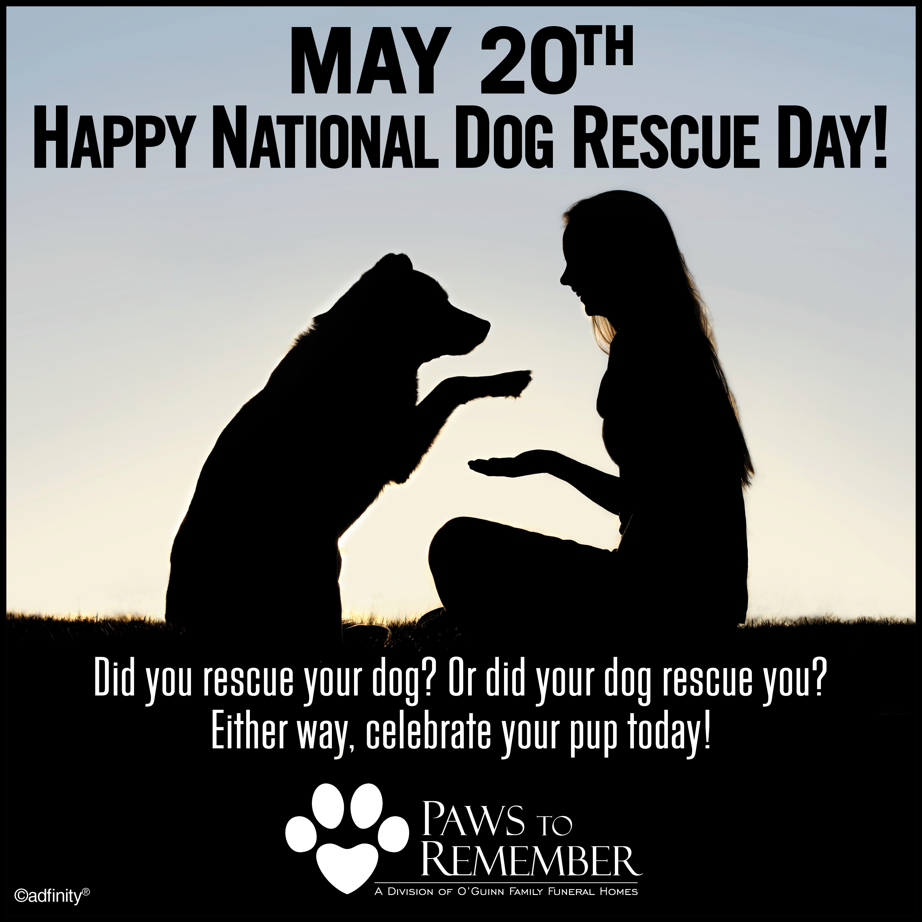 May 20th Happy National Dog Rescue Day! adfinity